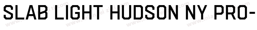Slab Light Hudson NY Pro字体转换
